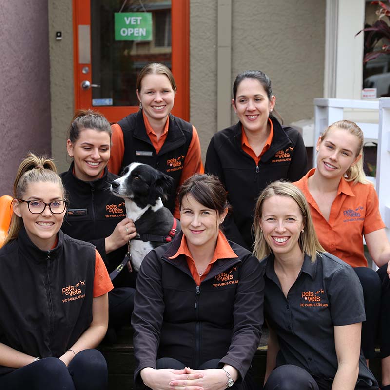 Meet the Team at Victoria Park Veterinary Clinic
