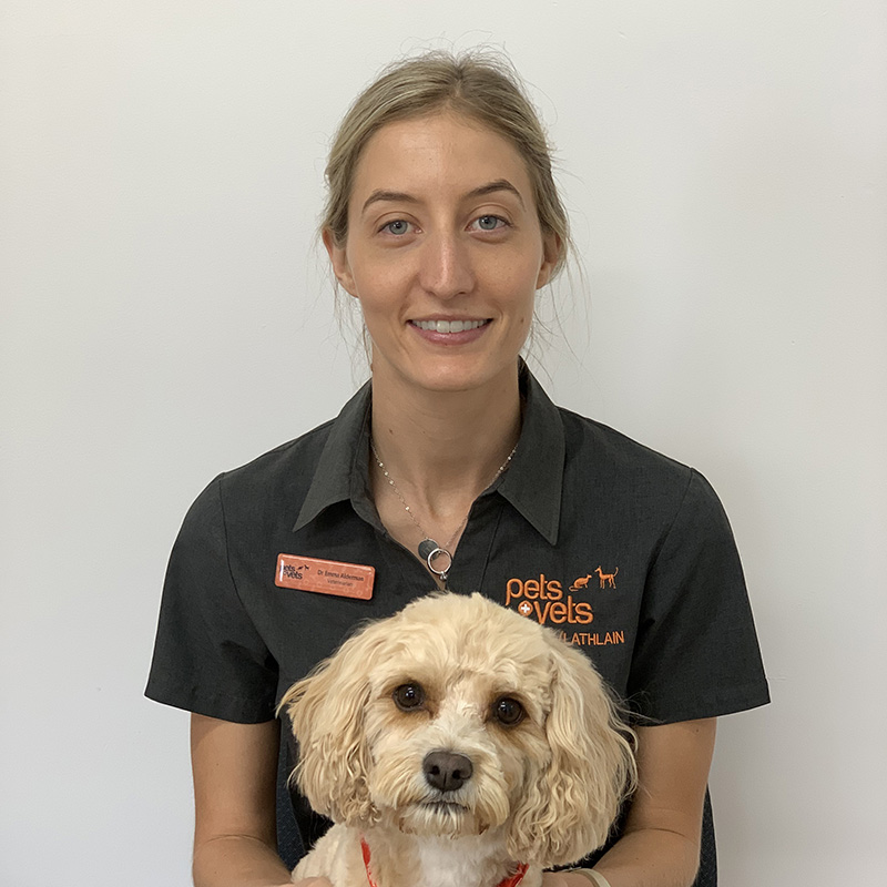 Victoria Park Vet - Dr Emma Alderman - Vet