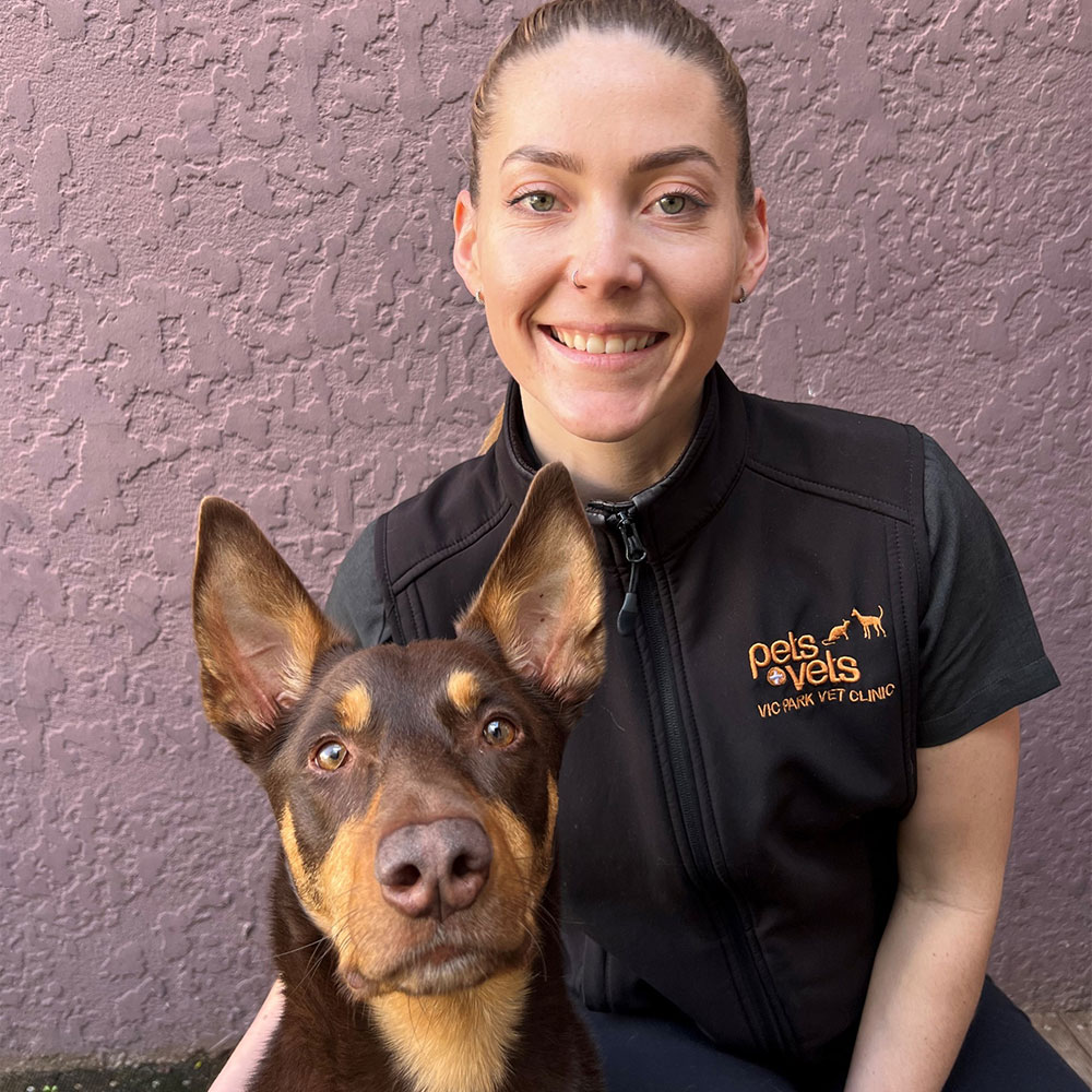 Victoria Park Veterinary Clinic - Meet the Team - Hayls